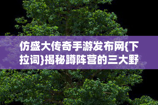 揭秘蹲阵营的三大野路子图片