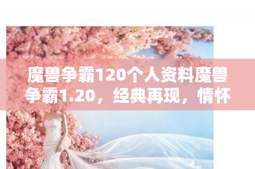 魔兽争霸120个人资料魔兽争霸1.20，经典再现，情怀与战略的完美融合，魔兽争霸1.20，经典再现，情怀与战略的完美融合