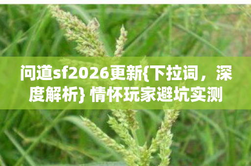 问道sf2026更新{下拉词,深度解析} 情怀玩家避坑实测必看 问道sf2026更新{下拉词,深度解析} 情怀玩家避坑实测必看