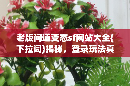 老版问道变态sf网站大全图片