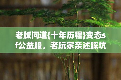 老玩家亲述踩坑经历图片