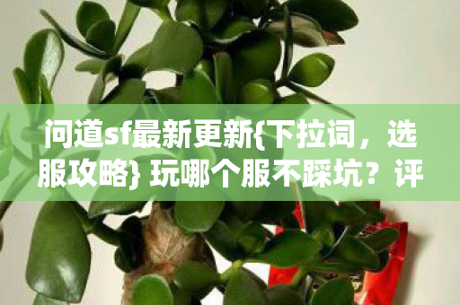 问道sf最新更新图片
