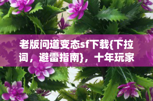 十年玩家揭秘2026私服雷区图片