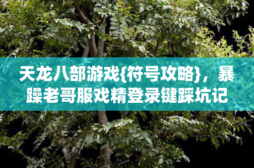 暴躁老哥服戏精登录键踩坑记图片