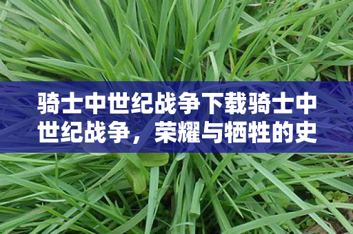骑士中世纪战争下载骑士中世纪战争，荣耀与牺牲的史诗，骑士中世纪战争，荣耀与牺牲的史诗