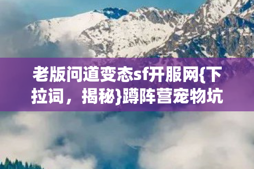 老版问道变态sf开服网图片