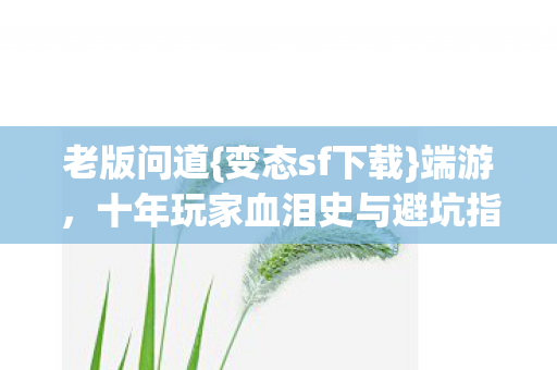 十年玩家血泪史与避坑指南图片