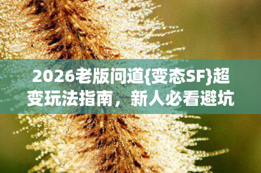 2026老版问道图片