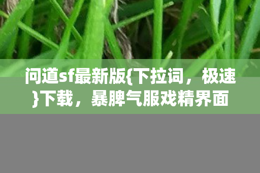 暴脾气服戏精界面避坑指南图片