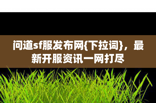 最新开服资讯一网打尽图片