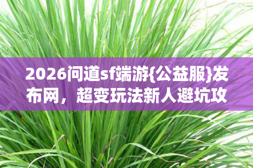 2026问道sf端游图片
