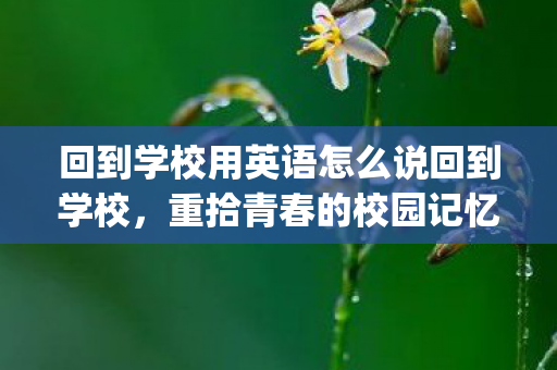 回到学校用英语怎么说回到学校，重拾青春的校园记忆，Back to School: Revisiting the Golden Days of Campus Memories