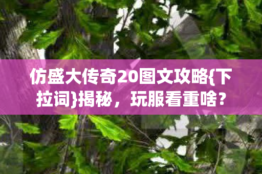 仿盛大传奇20图文攻略{下拉词}揭秘，玩服看重啥？