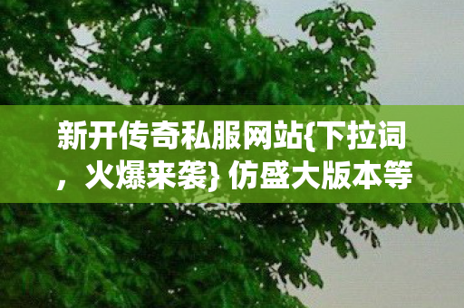 新开传奇私服网站{下拉词,火爆来袭} 仿盛大版本等你体验 新开传奇私服网站{下拉词,火爆来袭} 仿盛大版本等你体验