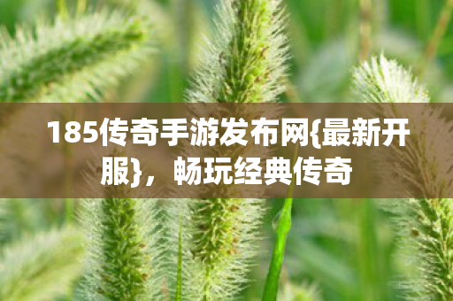 185传奇手游发布网图片