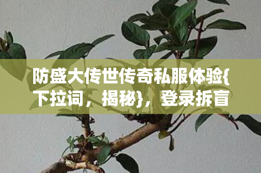 防盛大传世传奇私服体验图片
