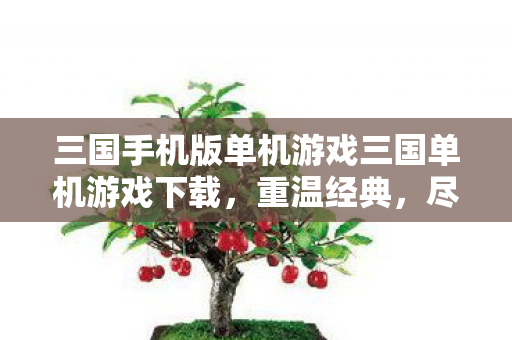 三国手机版单机游戏三国单机游戏下载，重温经典，尽享策略与冒险，重温经典策略冒险！三国单机游戏下载来袭