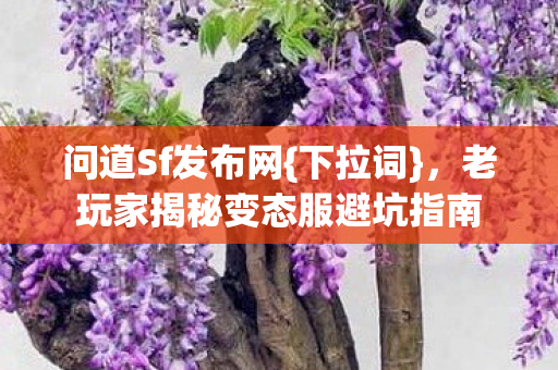 问道Sf发布网{下拉词},老玩家揭秘变态服避坑指南 问道Sf发布网{下拉词},老玩家揭秘变态服避坑指南