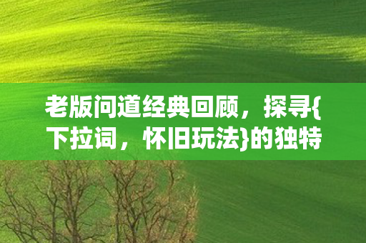老版问道经典回顾图片