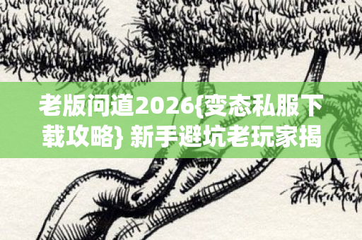新手避坑老玩家揭秘玩法图片