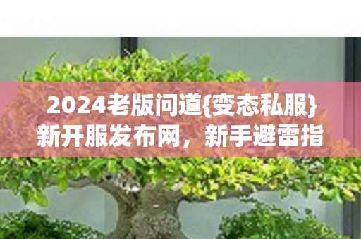 2024老版问道{变态私服}新开服发布网，新手避雷指南