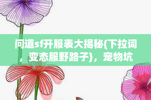 问道sf开服表大揭秘{下拉词，变态服野路子}，宠物坑人经历分享