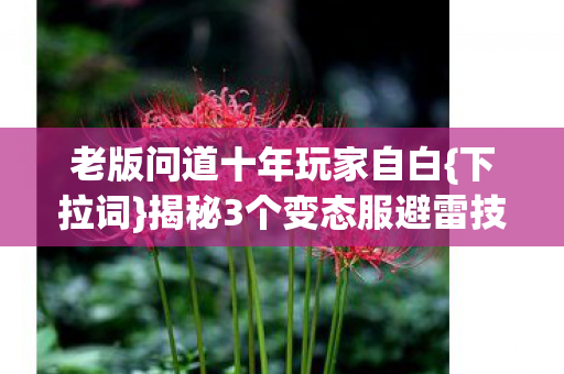 揭秘3个变态服避雷技巧图片