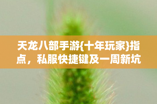 私服快捷键及一周新坑总结图片