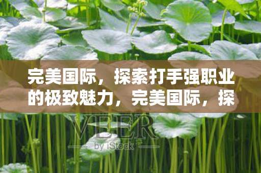 完美国际，探索打手强职业的极致魅力，完美国际，探索打手职业的极致魅力
