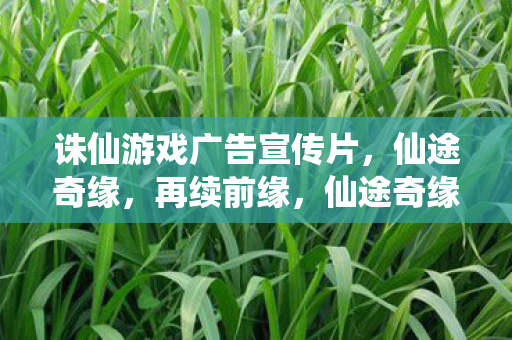 诛仙游戏广告宣传片，仙途奇缘，再续前缘，仙途奇缘，诛仙再续前缘
