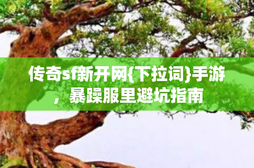 暴躁服里避坑指南图片