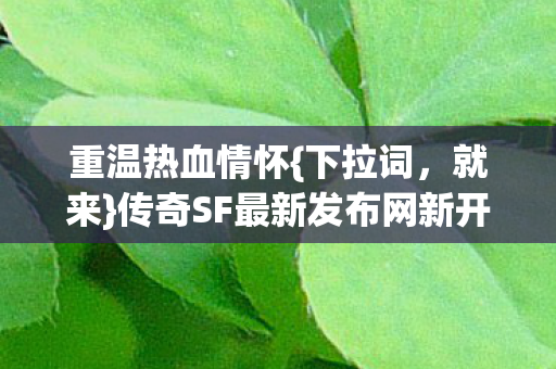 传奇SF最新发布网新开图片