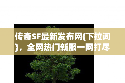 全网热门新服一网打尽图片