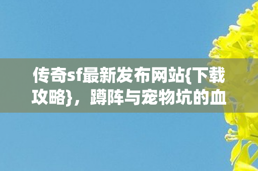 蹲阵与宠物坑的血泪经历图片