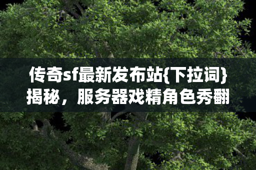 服务器戏精角色秀翻全场图片