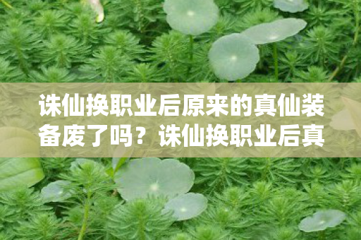 诛仙换职业后原来的真仙装备废了吗？诛仙换职业后真仙装备何去何从？