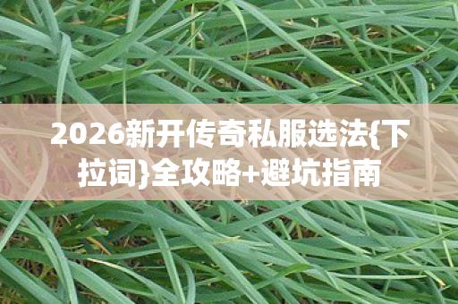 2026新开传奇私服选法图片