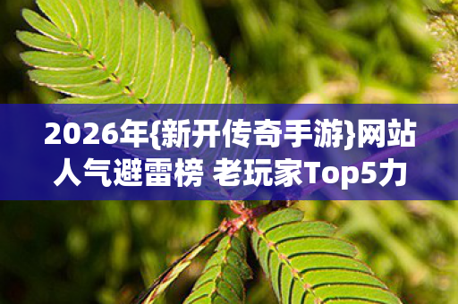 网站人气避雷榜 老玩家Top5力荐图片