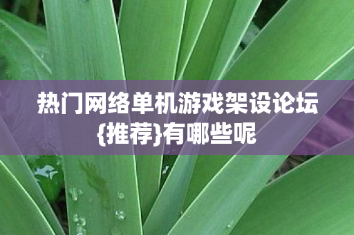 热门网络单机游戏架设论坛{推荐}有哪些呢