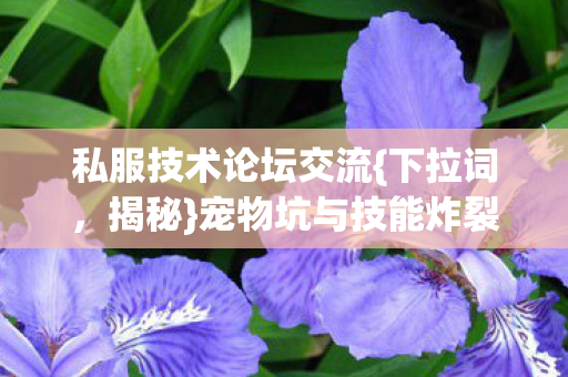 私服技术论坛交流{下拉词，揭秘}宠物坑与技能炸裂经历