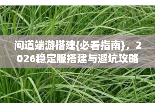 2026稳定服搭建与避坑攻略图片