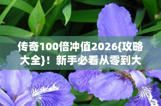 传奇100倍冲值2026{攻略大全}！新手必看从零到大佬秘籍