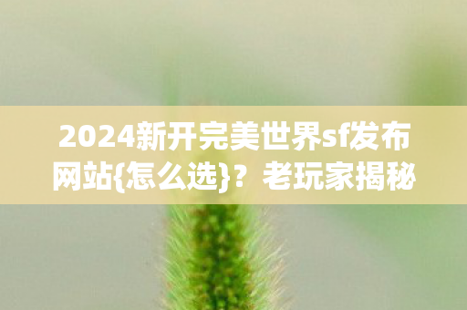 2024新开完美世界sf发布网站图片