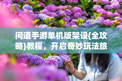 问道手游单机版架设{全攻略}教程，开启奇妙玩法旅程