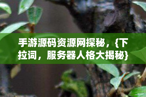 手游源码资源网探秘图片