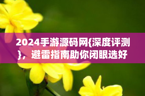 2024手游源码网{深度评测},避雷指南助你闭眼选好码 2024手游源码网{深度评测},避雷指南助你闭眼选好码
