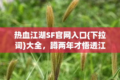 热血江湖SF官网入口图片