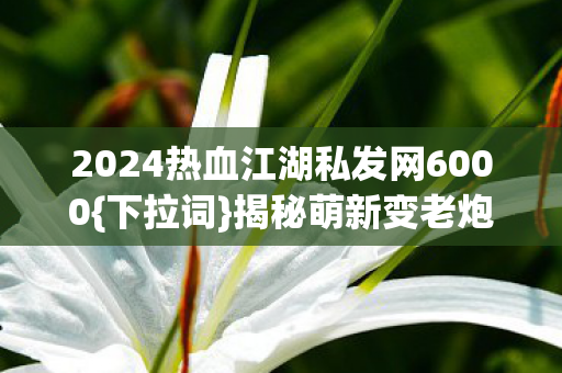 2024热血江湖私发网6000图片