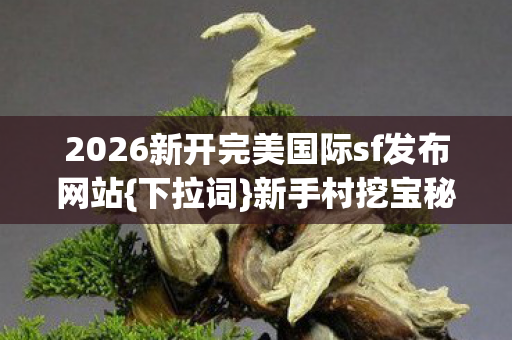 2026新开完美国际sf发布网站图片