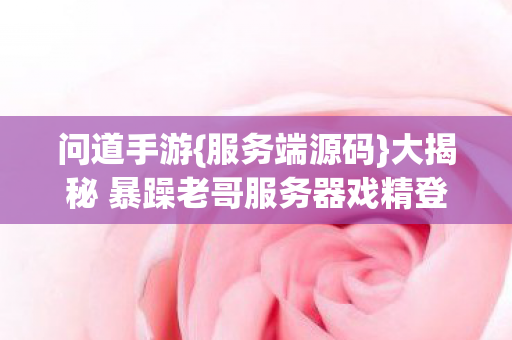 问道手游{服务端源码}大揭秘 暴躁老哥服务器戏精登录坑多 问道手游{服务端源码}大揭秘 暴躁老哥服务器戏精登录坑多